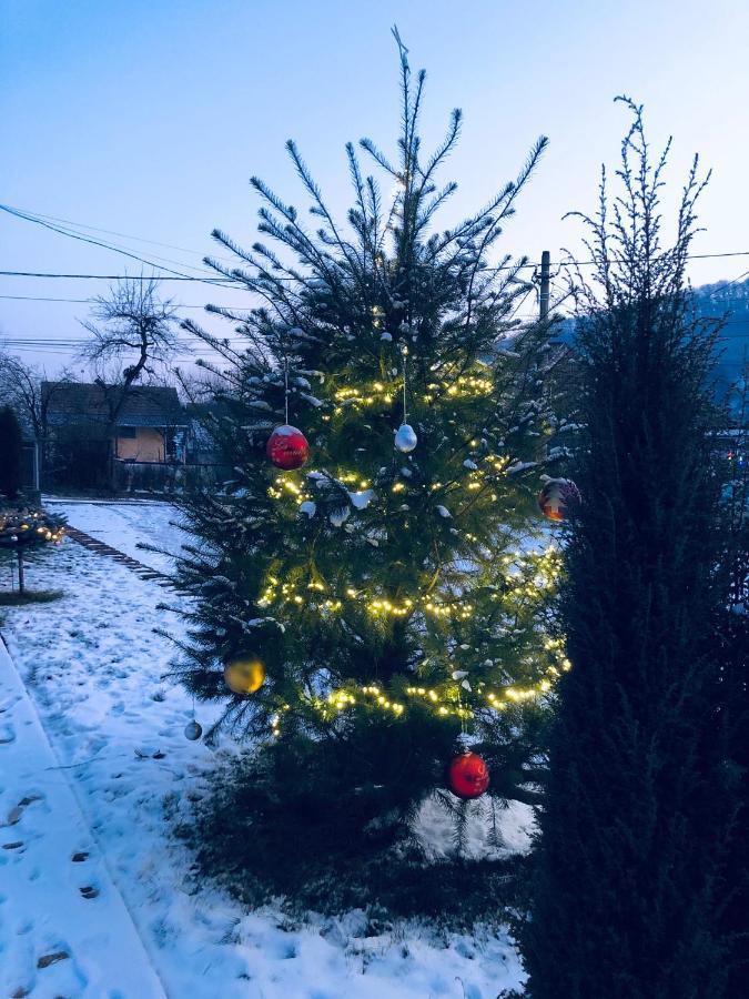Hotel Poenita Sighisoara Bagian luar foto