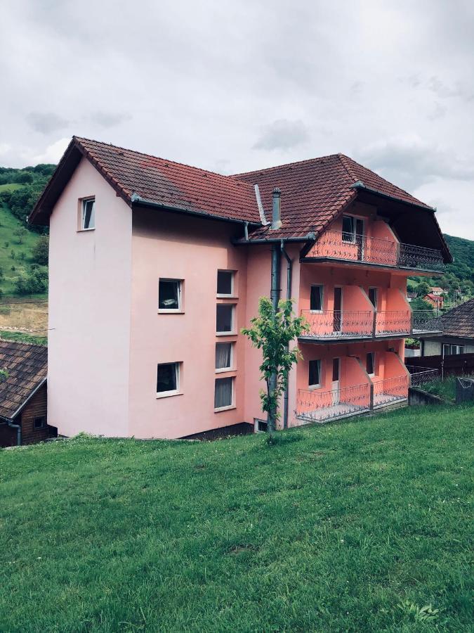 Hotel Poenita Sighisoara Bagian luar foto