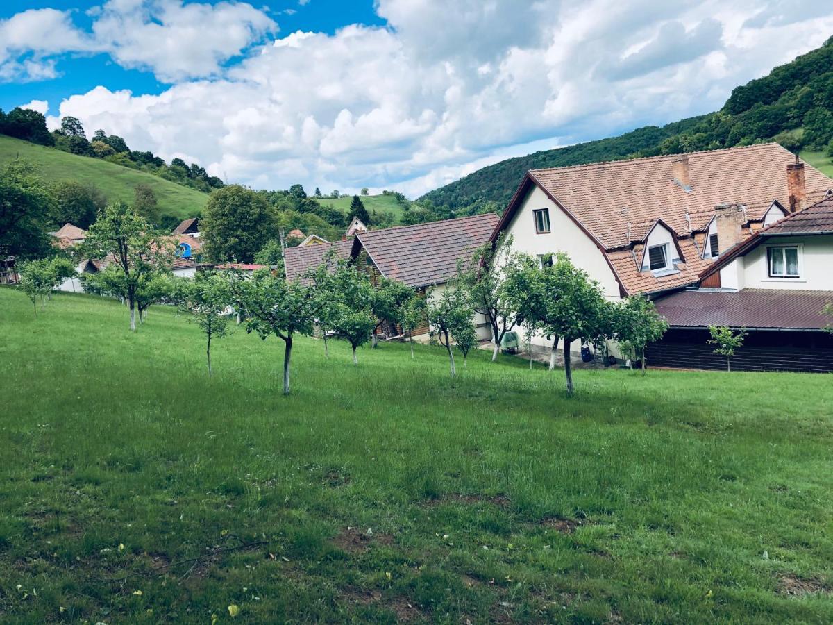 Hotel Poenita Sighisoara Bagian luar foto