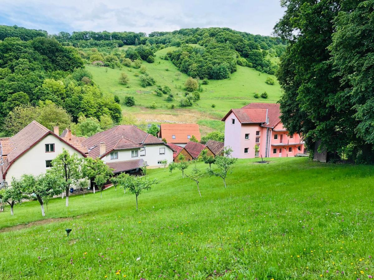 Hotel Poenita Sighisoara Bagian luar foto
