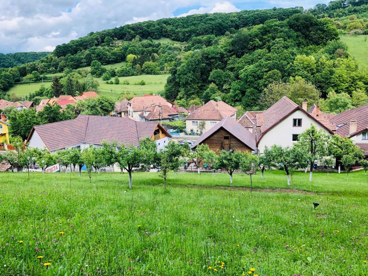 Hotel Poenita Sighisoara Bagian luar foto